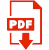PDF File